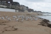 Plage de Cabourg